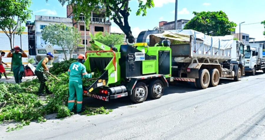 Salvador conta com primeira máquina trituradora de podas para reciclagem orgânica