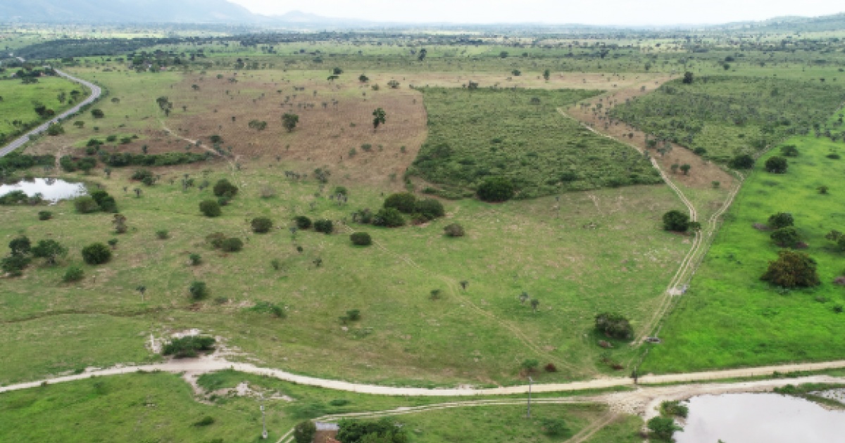 MP-BA abre inquérito civil contra fazenda do grupo André Guimarães por suposto dano ambiental; veja detalhes