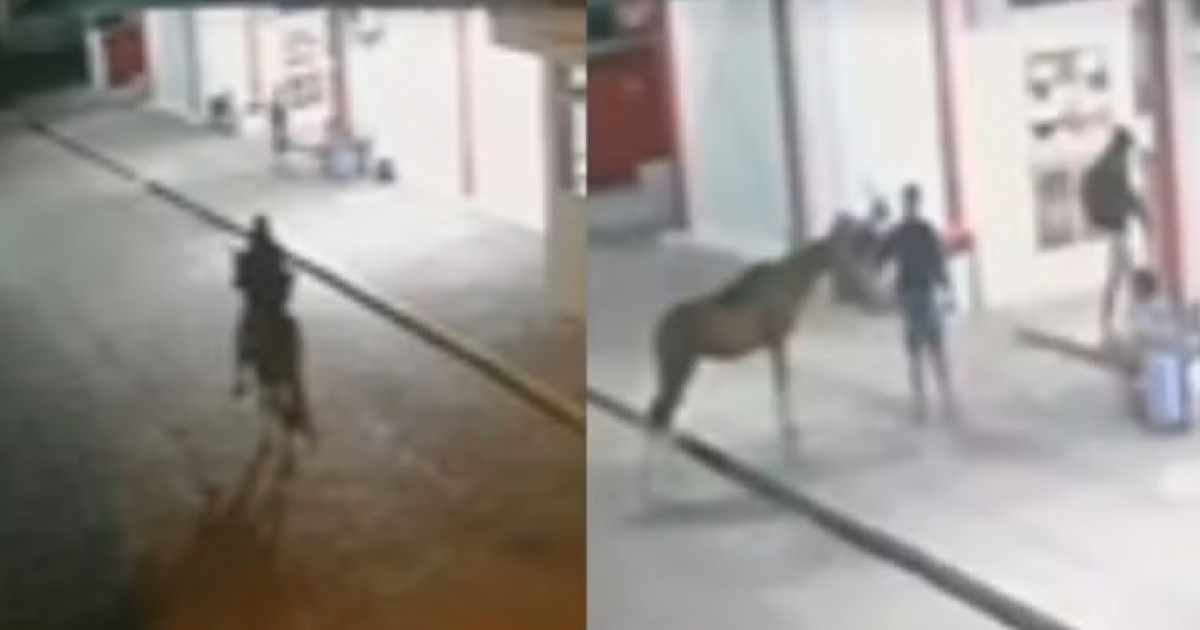 Homem usa cavalo para assaltar lanchonete de rodoviária na Bahia