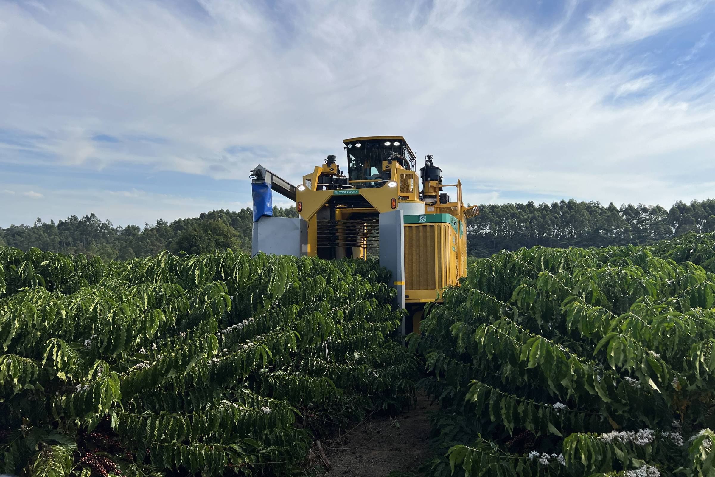 Pedidos de recuperação judicial no agro caem 20,7% no segundo trimestre, diz Serasa